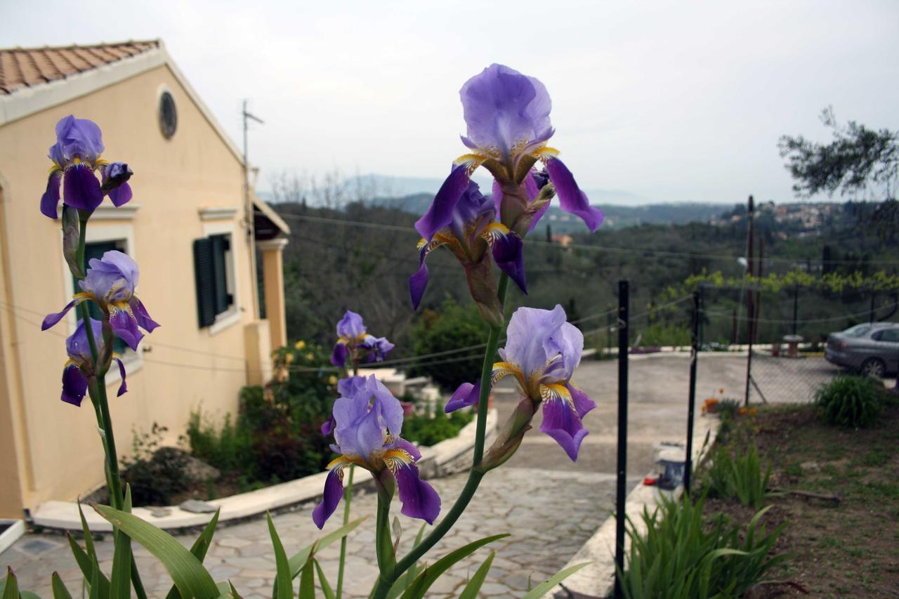 Georgia Apartments & Studios Corfu